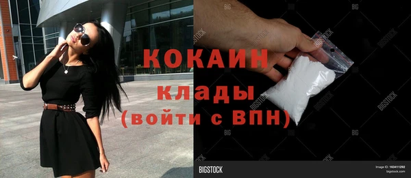 стаф Вяземский