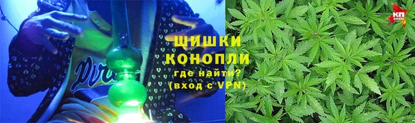 стаф Вяземский