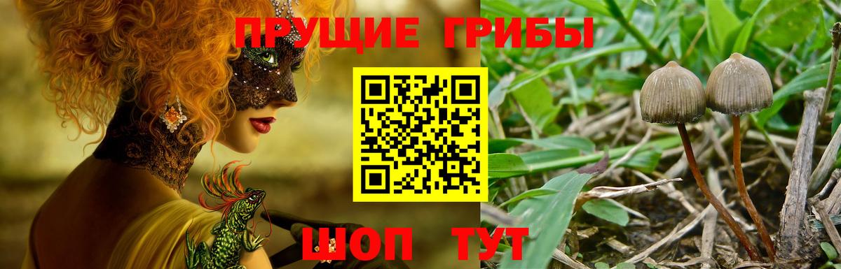 Гагарин  Галлюциногенные грибы ЛСД  Вход с VPN  Псилоцибиновые грибы Cubensis 