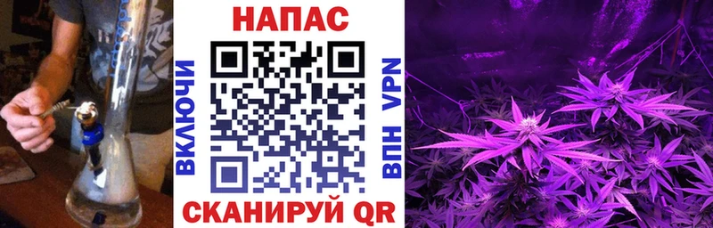 Шишки марихуана конопля  магазин    Гагарин 