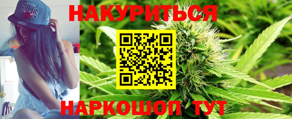 Бошки Шишки план Гагарин